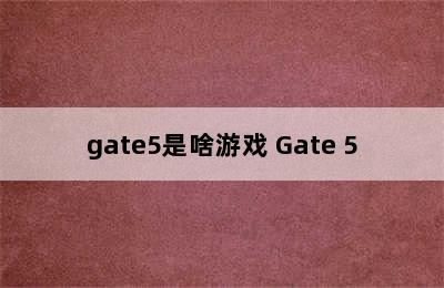 gate5是啥游戏 Gate 5